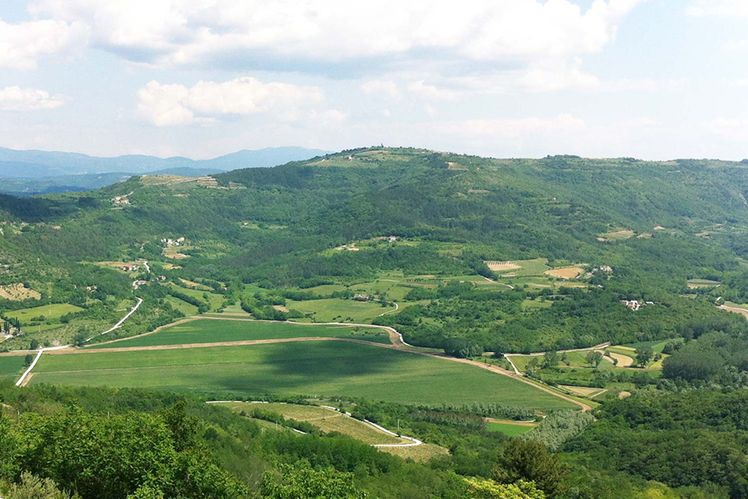 Istrian countryside view from Motovun