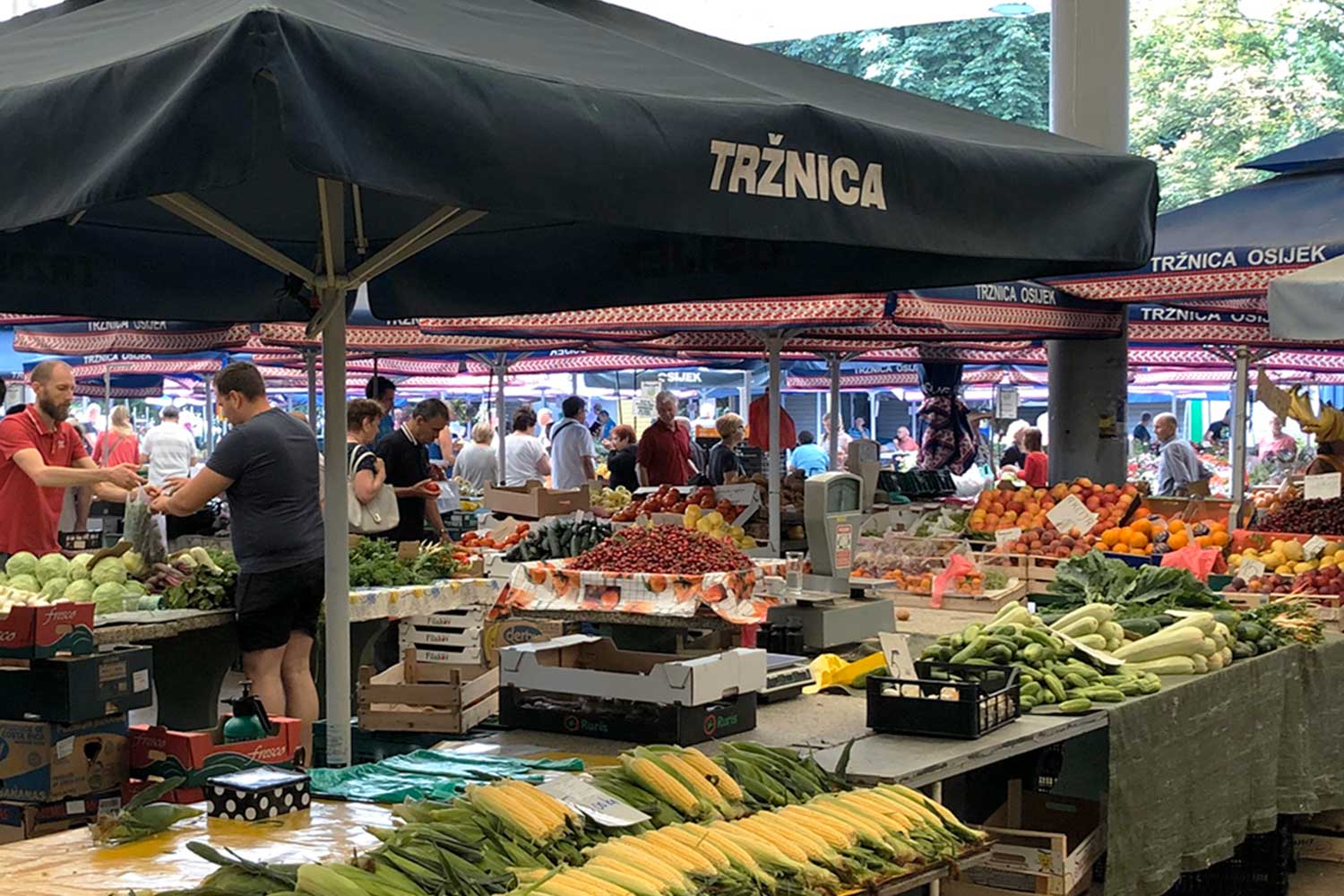 Trznica Osijek farmer's market