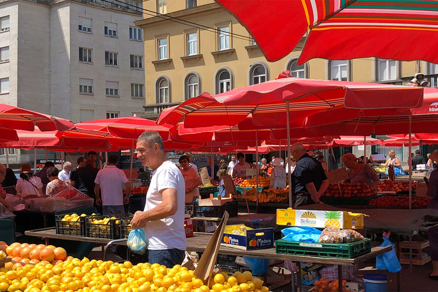 Dolac, Zagreb